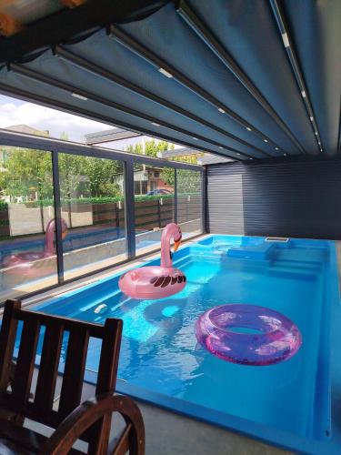 a swimming pool with a pink duck in the water at Dorotea Apartment in Ohrid