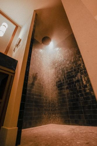 a shower in a bathroom with a shower at de Wever Lodge in Otterlo