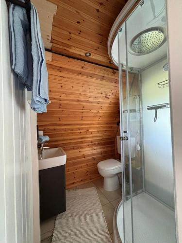 a bathroom with a toilet and a glass shower at Cozy Tiny House am Ferienpark in Plötzky
