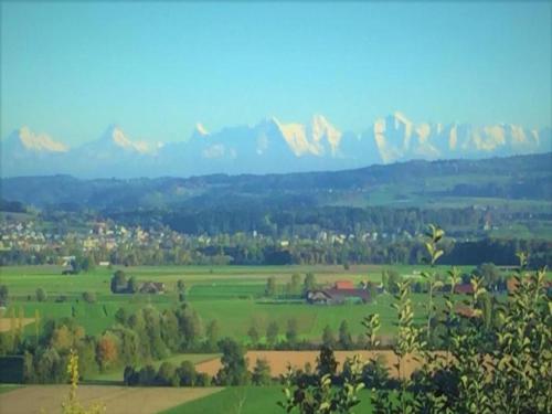 a view of a green field with mountains in the background at Nice bungalow in Hallschlag near the lakebeach in Hallschlag