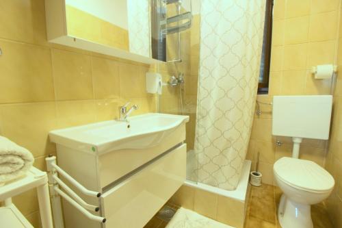 a bathroom with a sink and a toilet at Lisa 2 near the beach in Novigrad Istria
