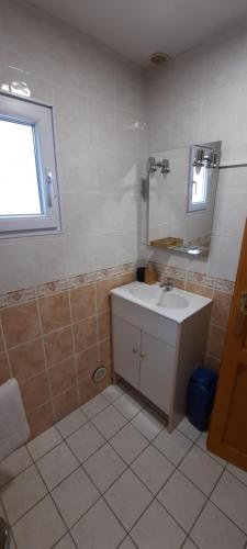 une salle de bain avec un lavabo et un miroir dans l'établissement Appartement de maison avec 2 chambres, à Ossun