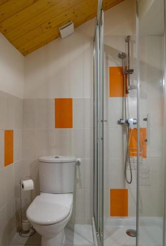 une salle de bain avec toilettes et douche dans l'établissement La maisonnette a la caze, à Saint-Pierre-des-Tripiers