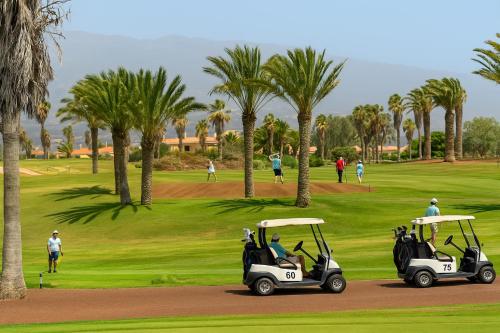 two golf carts on a golf course with palm trees at Pebble Beach in San Miguel de Abona