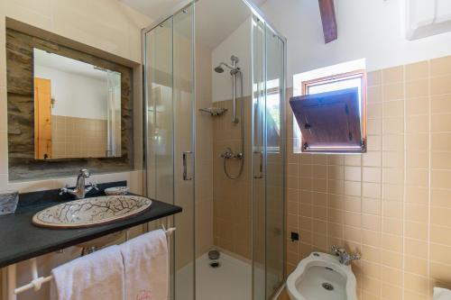 a bathroom with a shower and a sink and a toilet at Quinta da Rabaçosa - Turismo Rural in Castro Daire