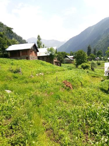 a field of green grass with a house in the background at HomeStay Just a Minute Away From Hari Parbat in Srinagar