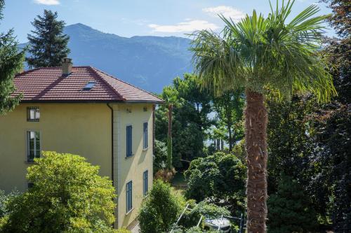 a palm tree in front of a house with a building at Villa Spa Dalia in Cannobio