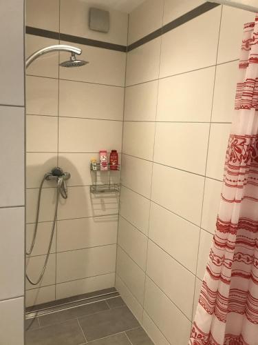 a bathroom with a shower with a shower curtain at Ferienwohnung Udenheim in Udenheim