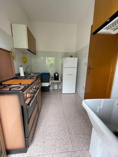 a kitchen with a stove and a sink at Wanderlust per chi ama la natura in Laino Castello