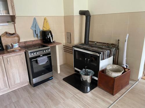 a kitchen with a stove and a stove top oven at Chata Babulik in Veľká Lesná
