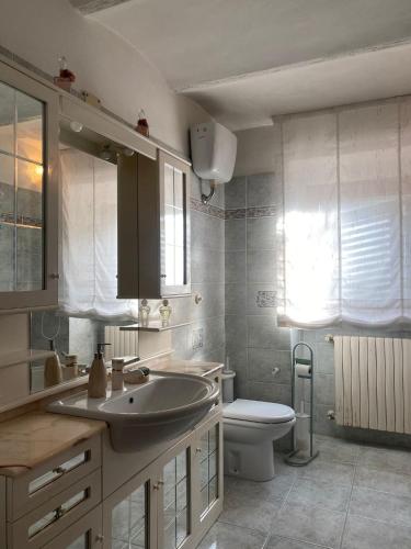 a bathroom with a sink and a toilet at Casa contadina nel verde ai piedi della Majella - Agricasa Caprafico in Casoli