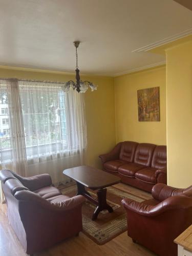 Kaunas Vibes Apartament