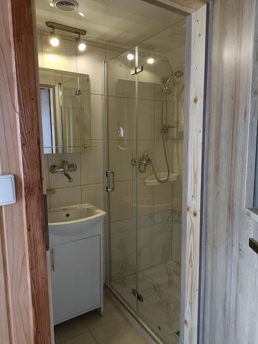 a bathroom with a glass shower and a sink at Pokoje gościnne u Krupy in Murzasichle