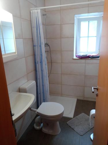 a bathroom with a toilet and a sink and a window at Ferienwohnung Kuhstall in Reinhardtsdorf