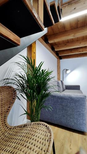 a bedroom with a bed and a potted plant at Disìu Apartment con Jacuzzi in centro a Castellammare del Golfo in Scopello