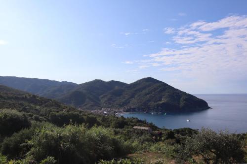 a view of a small island in a body of water at La Giulia Suites like Home in Bonassola