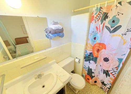 a bathroom with a sink and a toilet and a mirror at OYO Sandman Inn in Eagle Grove