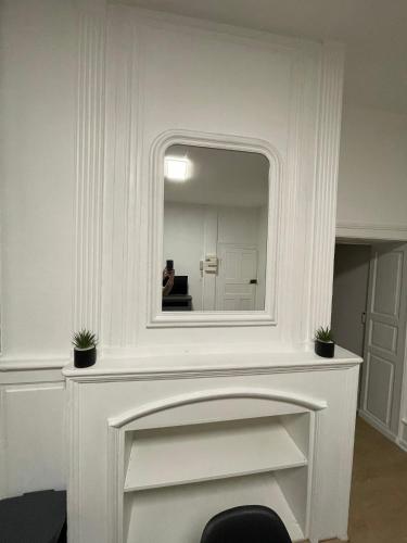 a mirror over a white fireplace with two potted plants at La clé de Fa 4 meublé cosy au coeur de la cité Vauban in Gravelines