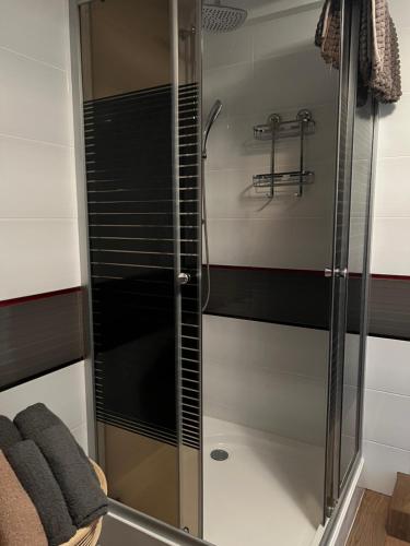 a shower with a glass door in a bathroom at Domki Pod Lasem in Macharce