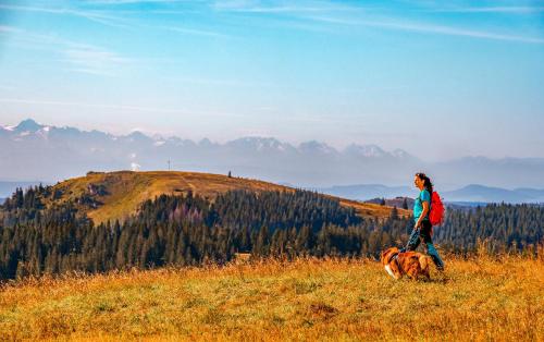 a woman walking a dog in a field at Ferienwohnungen Kehrwieder in Todtnauberg