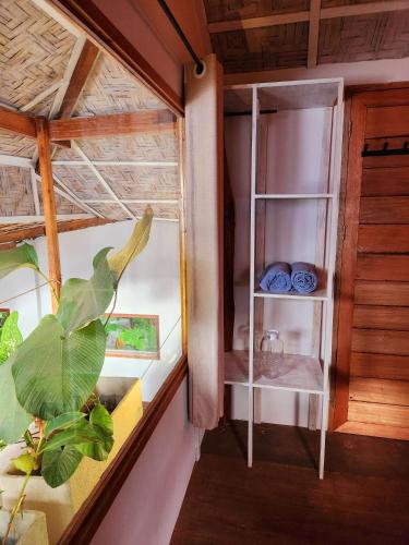 a room with a window with a plant in it at Marajaw Annex in General Luna