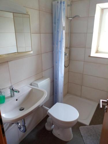 a bathroom with a toilet and a sink and a shower at Ferienwohnung Kälberstall in Reinhardtsdorf