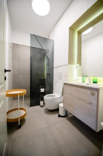 a bathroom with a toilet and a sink and a shower at The Lake Spot in Bucharest