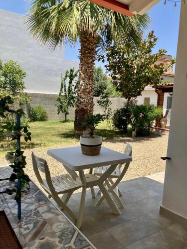 a table and chairs on a patio with a palm tree at Casa Ulivo in San Sperate