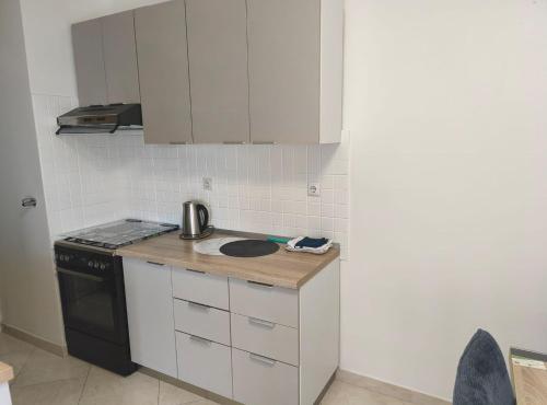 Apartment Alba