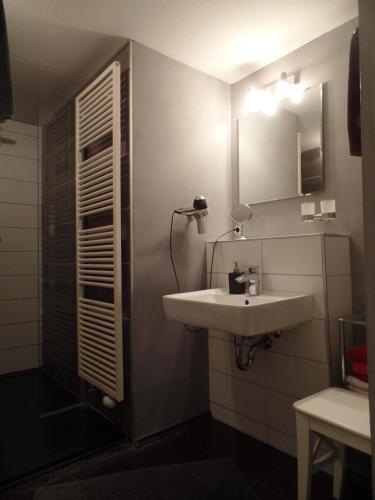 a bathroom with a sink and a mirror at Logis Am Park in Dessau