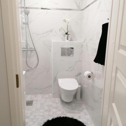 a white bathroom with a toilet and a shower at Anne House in Raisio