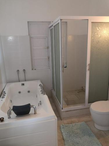 a bathroom with a tub and a shower and a toilet at La Gaulette Seaview Villa in La Gaulette