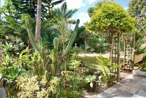a garden with palm trees and plants at O'Meublés des 2Bois- Le Filao-Piscine chauffée & Spa in Le Tampon