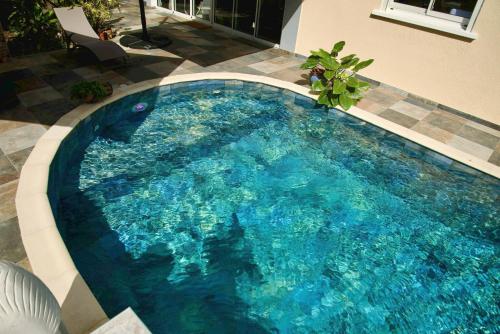 a large blue swimming pool in the middle of a building at O'Meublés des 2Bois- Le Filao-Piscine chauffée & Spa in Le Tampon