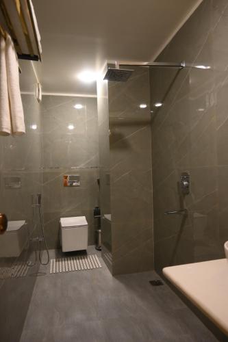 a bathroom with a shower and a toilet and a sink at Hotel Kashi Crown in Varanasi