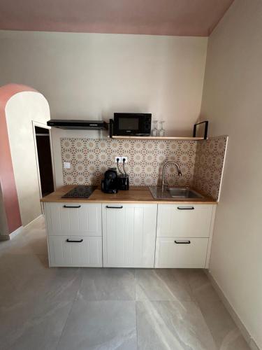 kuchnia ze zlewem i kuchenką mikrofalową w obiekcie Maisonnette au calme w Marsylii