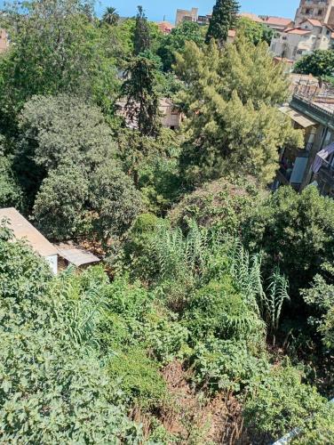 Gallery image of Appartement, El Biar Niveau de Villa F3 meublé et équipé in El Biar