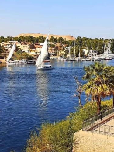 a boat with a sail on a river at Wateen guest house in Jazīrat Aswān