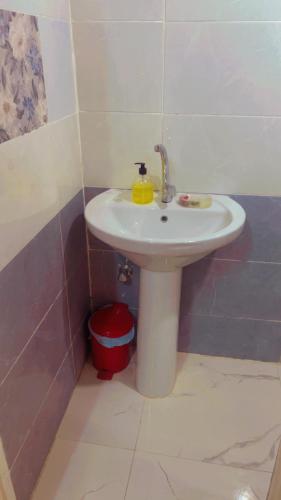 a bathroom with a white sink and a red bucket at Wateen guest house in Jazīrat Aswān