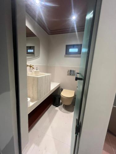 a bathroom with a toilet and a sink at Çınar Suit House in Akcay