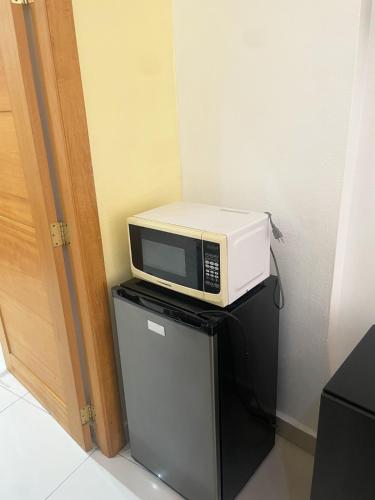 サントドミンゴにあるCity Caribbean Hotel Boutiqueの冷蔵庫の上に置かれた電子レンジ