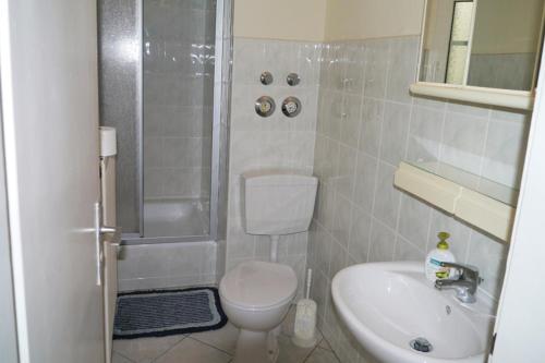 a bathroom with a toilet and a shower and a sink at Ferienwohnung Pferdestall in Reinhardtsdorf