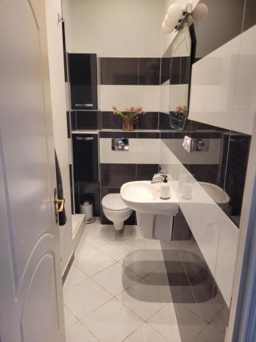 Un baño con un lavabo blanco y un inodoro. en Gdańsk Cozy Loft, en Gdansk