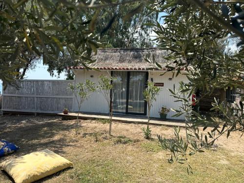 a small white house with trees in front of it at Concept Bungalow in Ayvacık