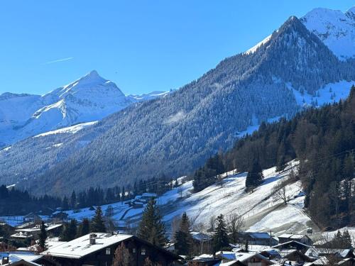 4-bedroom Chalet in the Heart of Gstaad