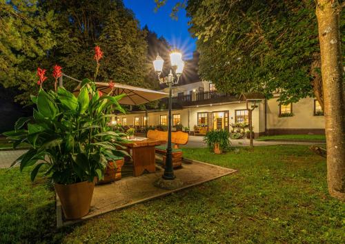 a house with a table and a plant in the yard at Waldgasthof & Hotel Am Sauwald in Tannenberg