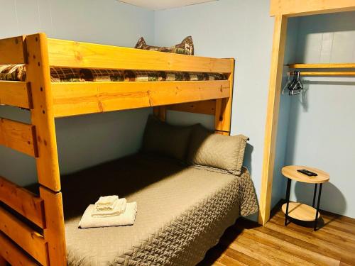 a bedroom with a bunk bed with a ladder at Alaska Getaway in Palmer