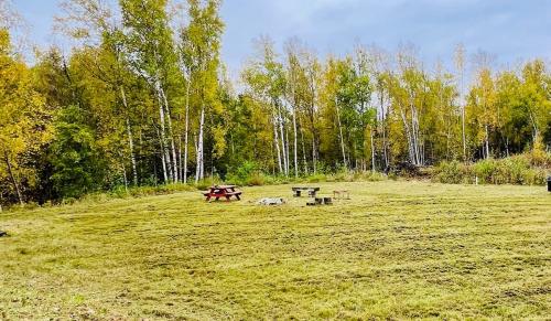 a park with two picnic tables in a field at Alaska Getaway in Palmer