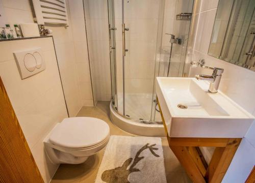 a bathroom with a shower and a toilet and a sink at Willa na Borku in Ciche