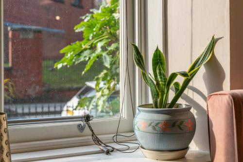 a plant in a vase sitting on a window sill at Unique Victorian Home in Glasgow in Glasgow